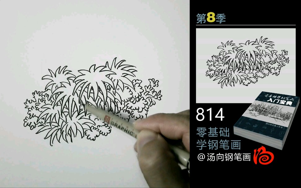 【线描风景钢笔画】零基础画画学习教程分享!草丛画法分享~哔哩哔哩bilibili