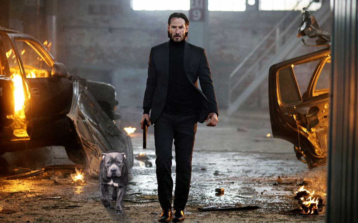 【夜魔】john wick 单挑击杀211人锦集_哔哩哔哩