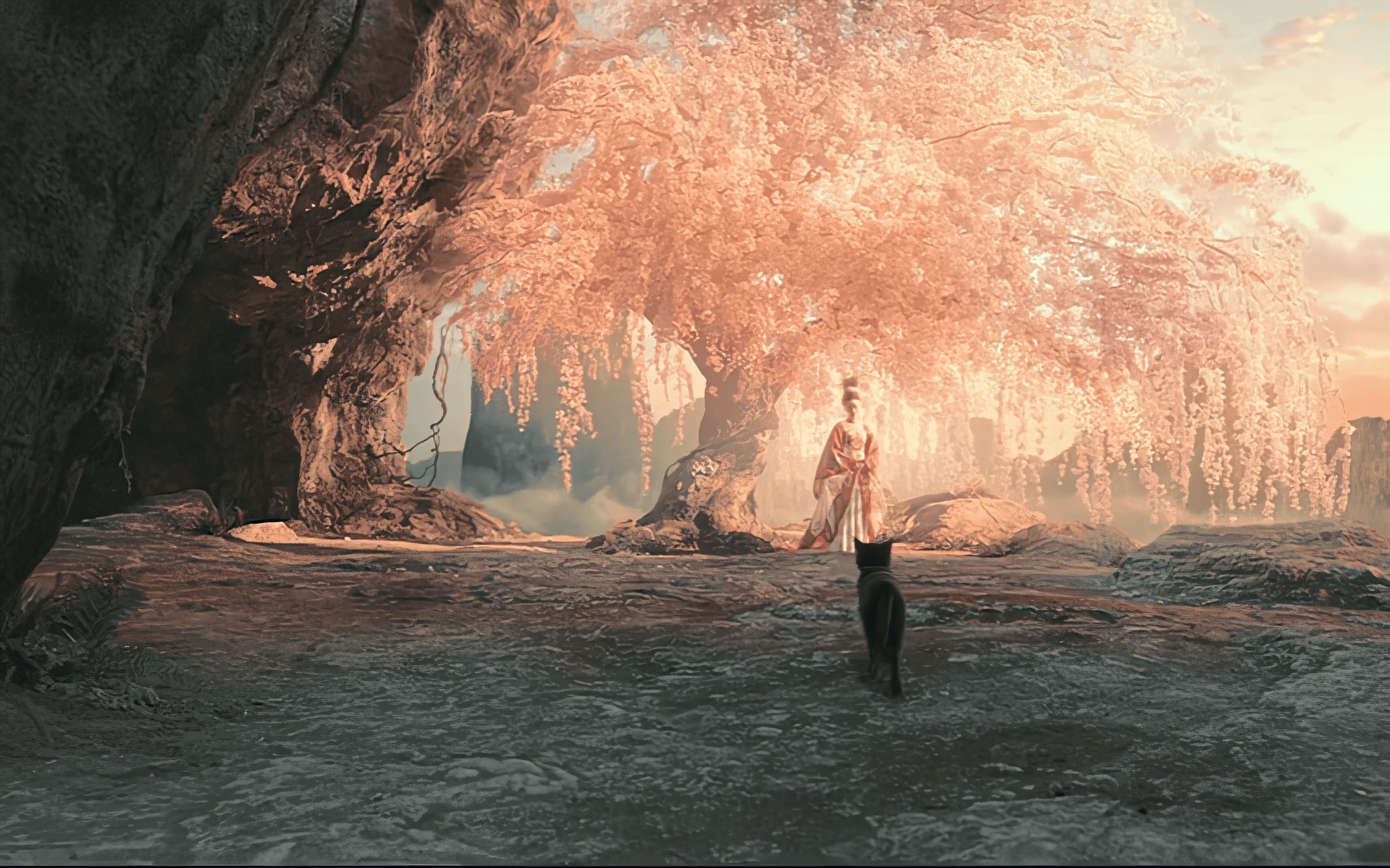 妖猫传 - 南风知意,梦到西洲,回眸一笑百媚生