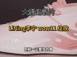 Download Video: 篮球鞋测评LiNing李宁 wow11 绽放