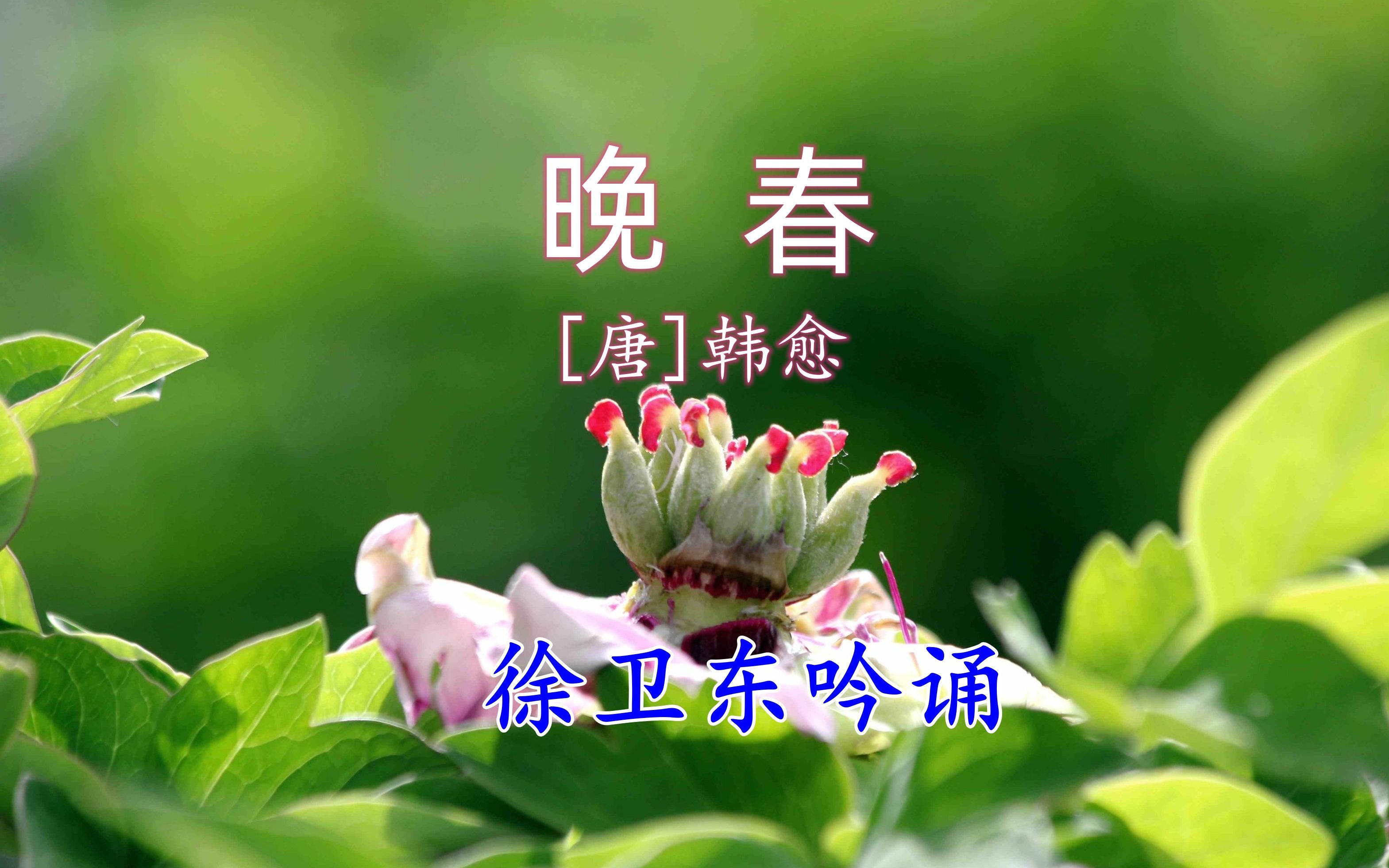 [图]《晚春》（韩愈），徐卫东教授吟诵，好听好看又好学