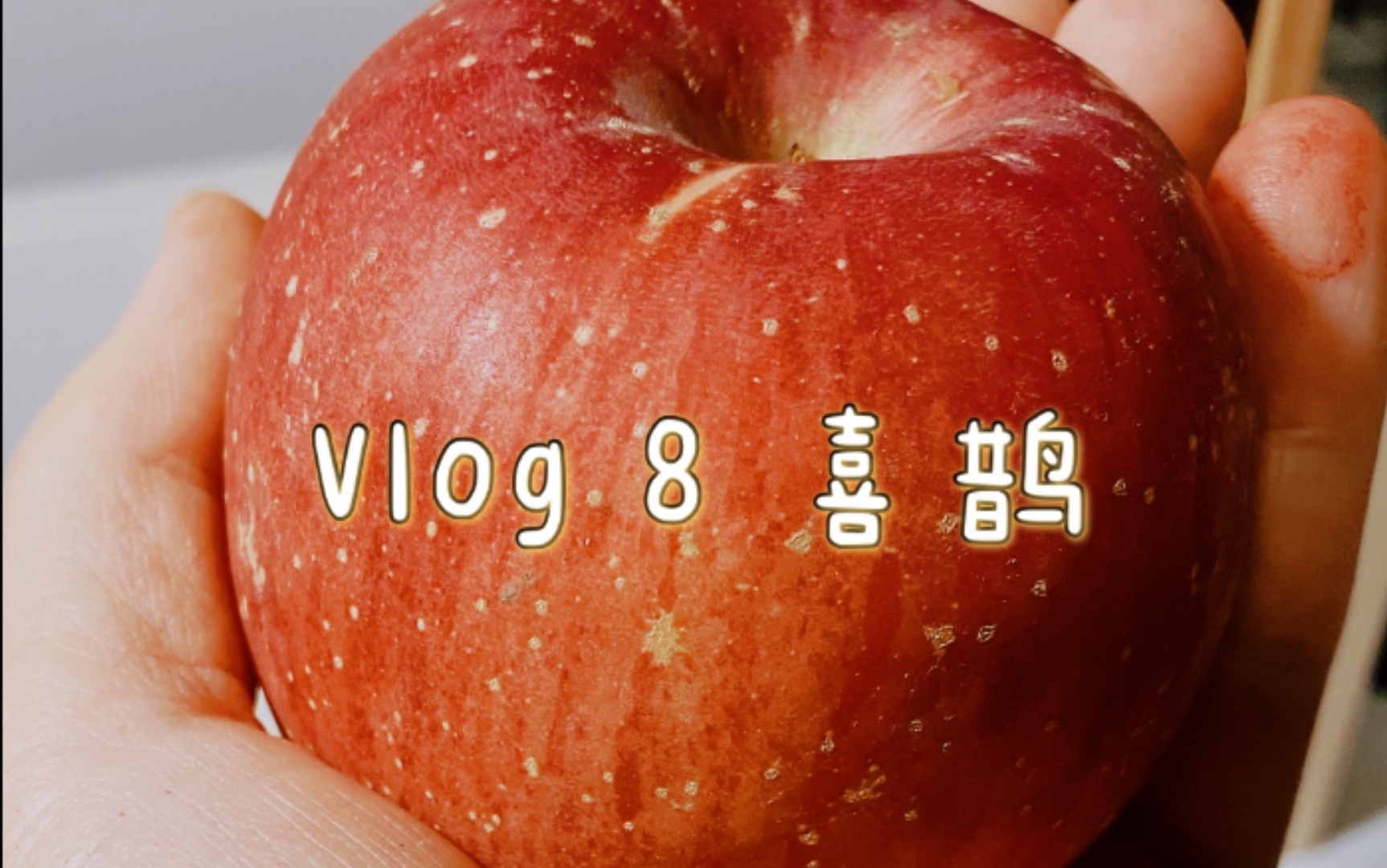 [图]Vlog 8 喜鹊谋杀案