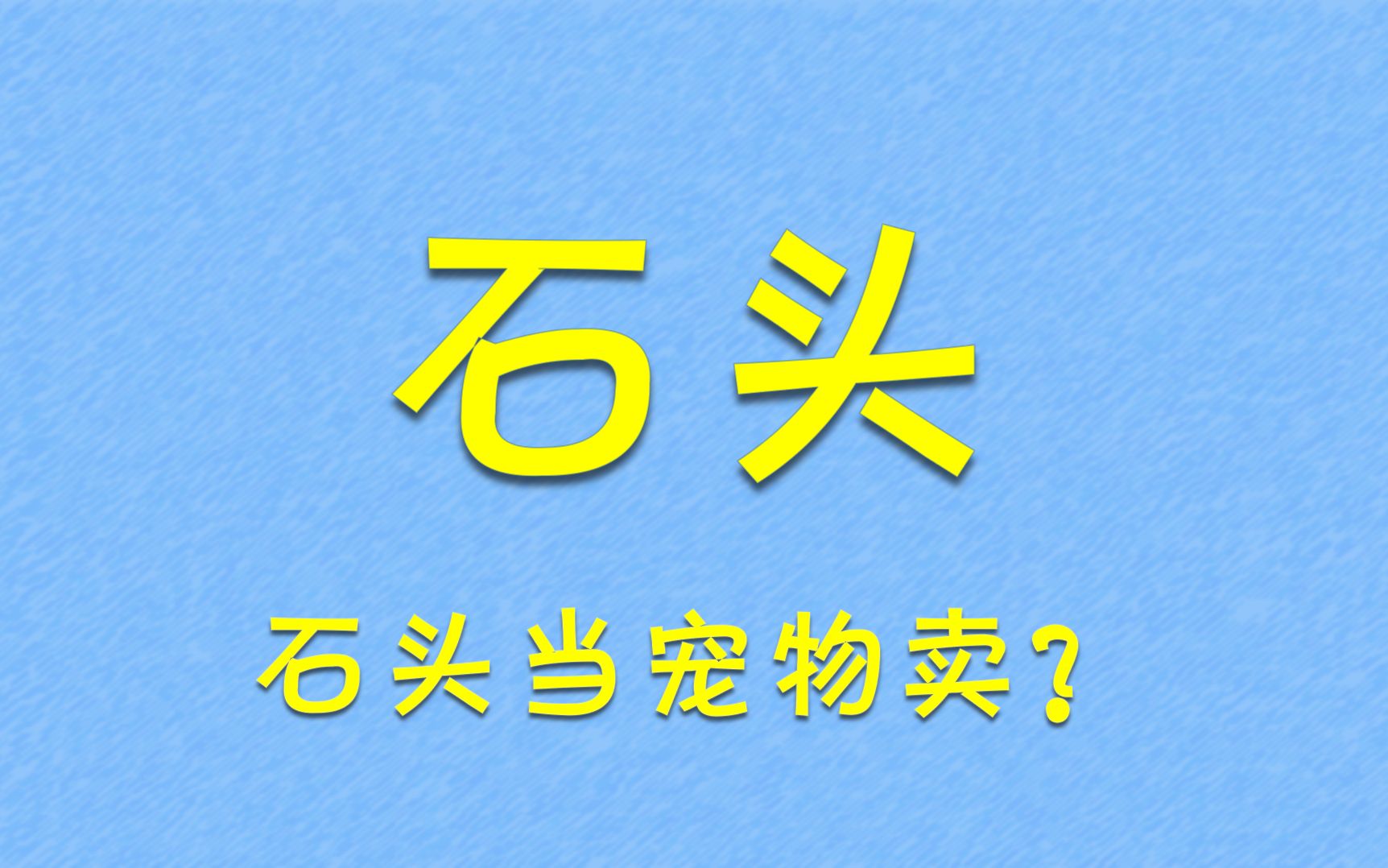 宠物石——怎样养一块儿石头?哔哩哔哩bilibili