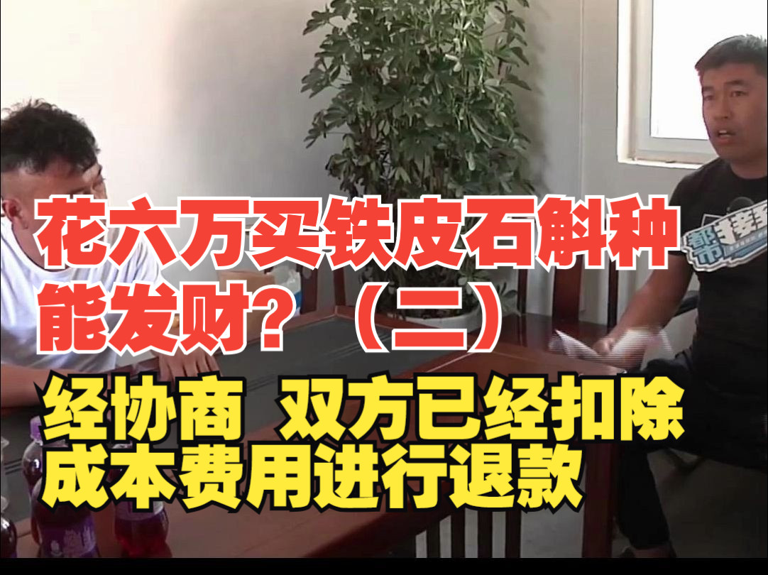 花六万买铁皮石斛种能发财?厂房:学会技术可有其它想法了.经协商,双方已经扣除成本费用进行退款哔哩哔哩bilibili