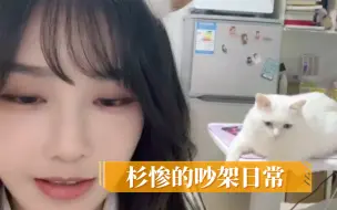 Tải video: 【苏杉杉】和【惨哥】的吵架日常，惨哥是个人吧