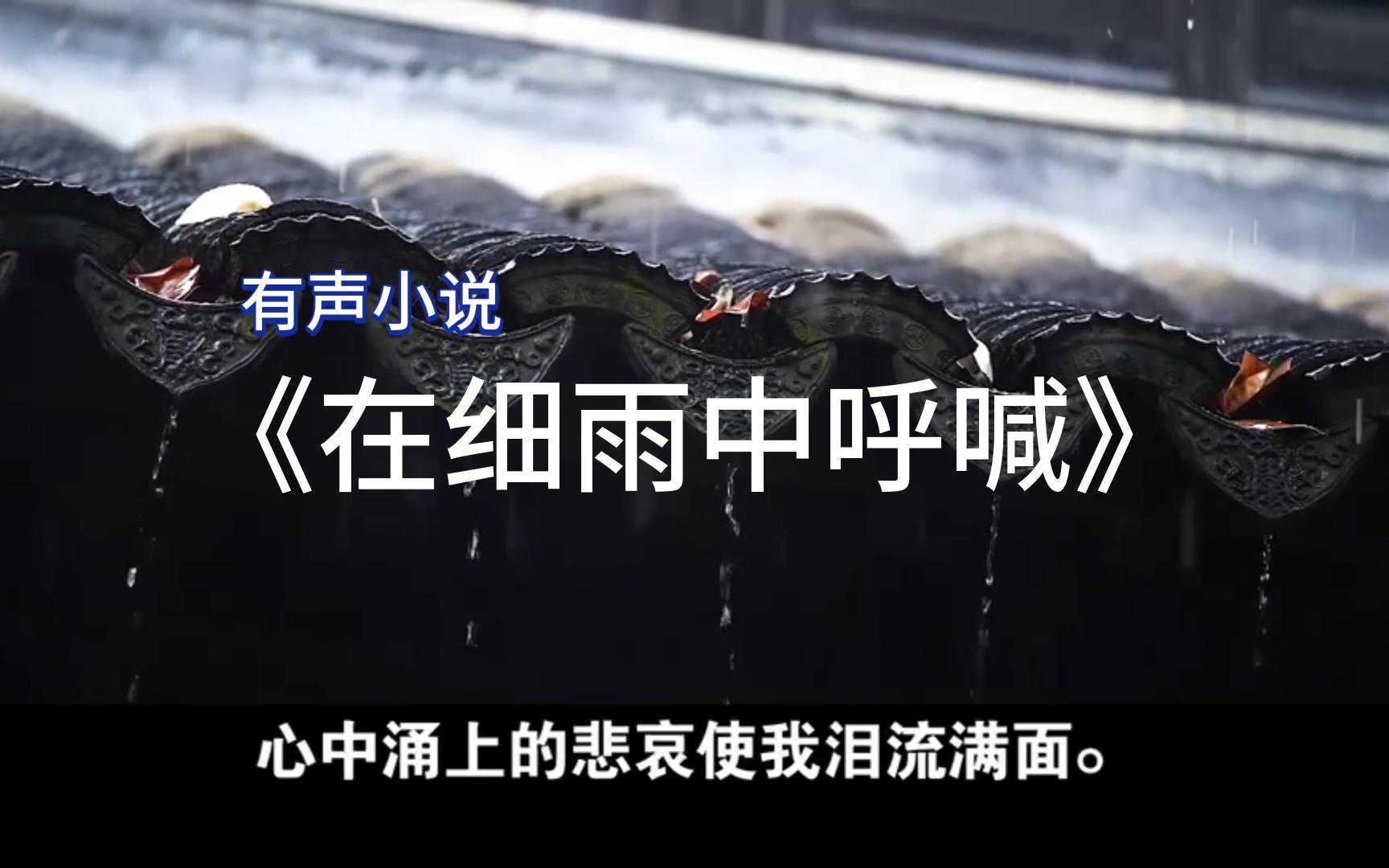 [图]读余华《在细雨中呼喊》第一章3小结：南门