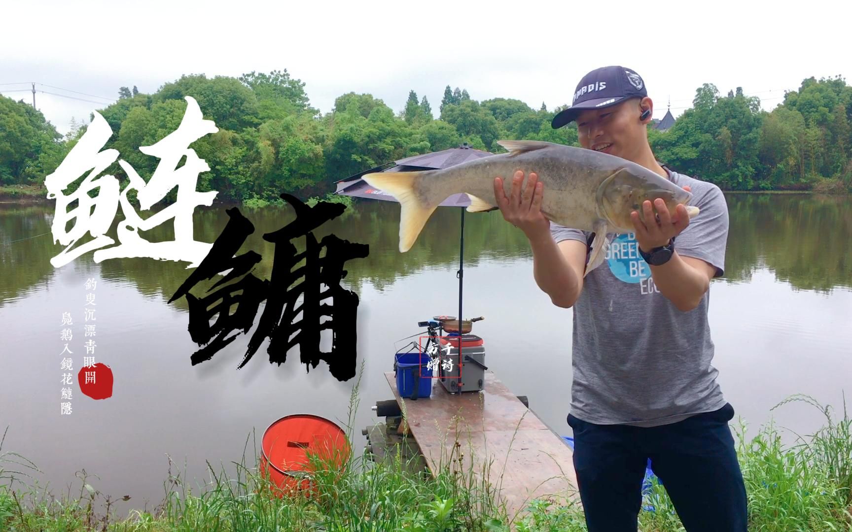 看了这么多邓刚老师钓鲢鳙视频总要学以致用吧村塘鲢鳙走起