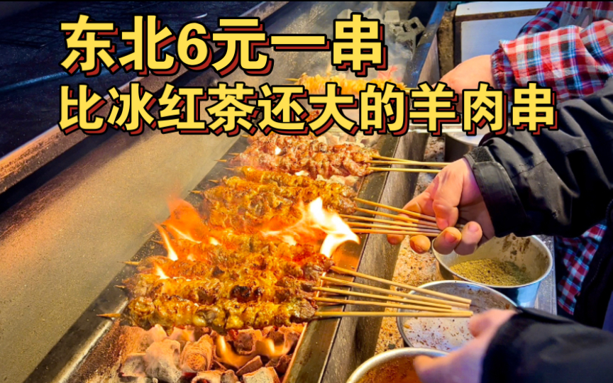 东北6元一串比冰红茶还大的羊肉串,性价比无敌!-转生成为毛毛-转生成为毛毛-哔哩哔哩视频