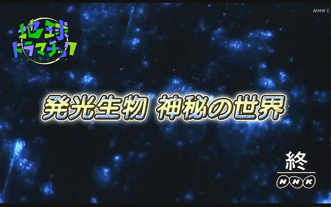 [图]【日语学习】NHK 发光生物-神秘的世界