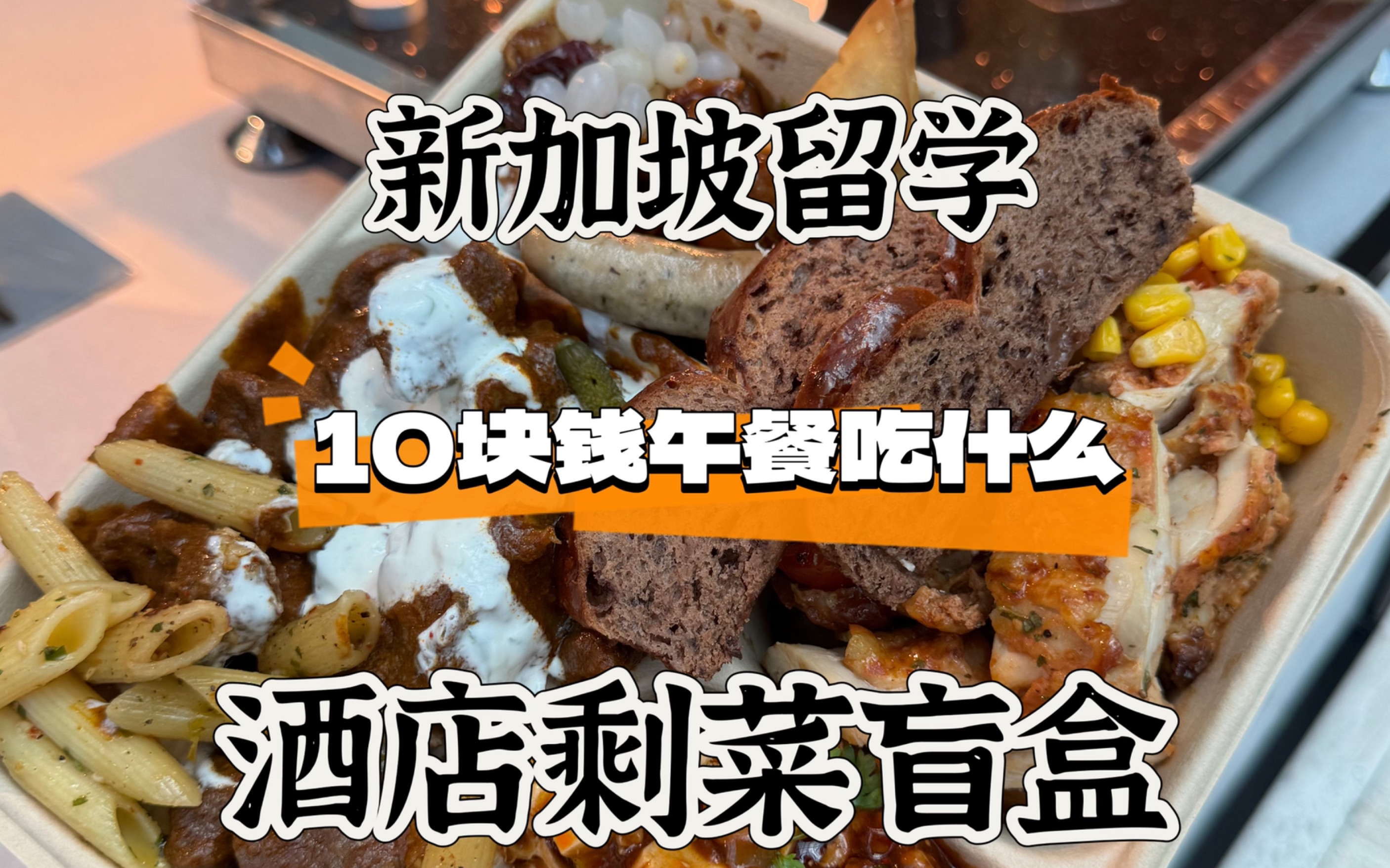 新加坡留学10块钱午餐吃什么?酒店剩菜盲盒!果然中餐才是我的舒适圈~哔哩哔哩bilibili