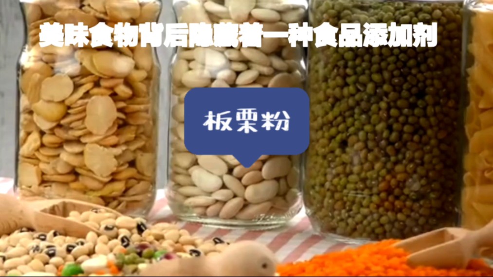 板栗粉(冻干粉)-济南圣和化工有限公司