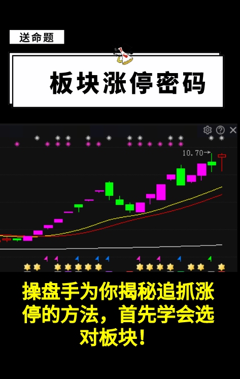 操盘手为你揭秘追抓涨停的方法,首先学会选对板块!哔哩哔哩bilibili