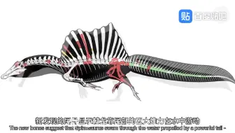 National Geographic Channel 恐龙霸主 棘龙 英语繁体字幕 哔哩哔哩 Bilibili