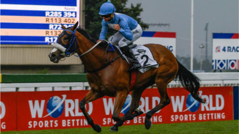 22 3 5 南非雌马三冠第二关 南非雌马经典大赛 Sa Fillies Classic G1 Rain In Holland 哔哩哔哩