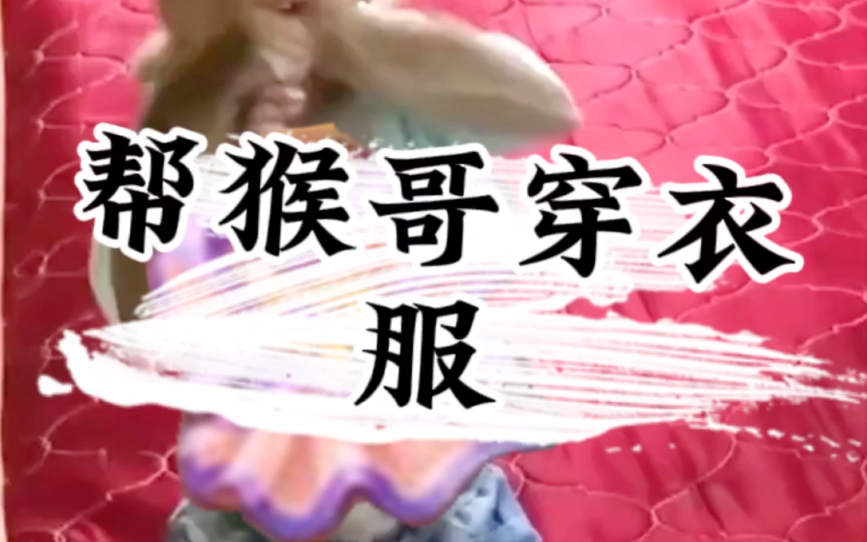 梦幻西游手游 #梦幻手游造梦计划 过年了 给猴哥整件