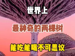 Download Video: 世界上最神奇的两棵树，不仅能吃能喝能住人，而且还有一棵会流血