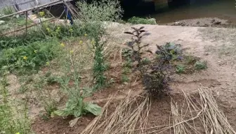 喜欢钓鱼的朋友看懂了吧？🤣