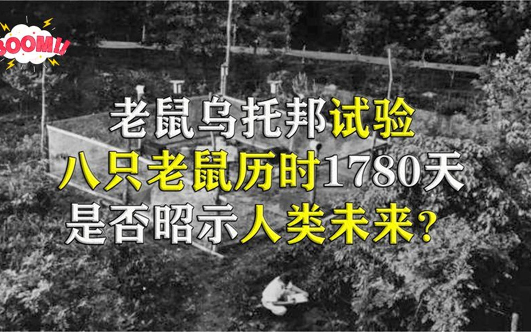 25号宇宙,,老鼠乌托邦实验经历1780天,他告诉我们的道理是什么?哔哩哔哩bilibili