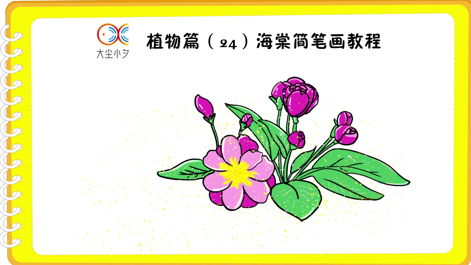 海棠的简笔画彩色图片