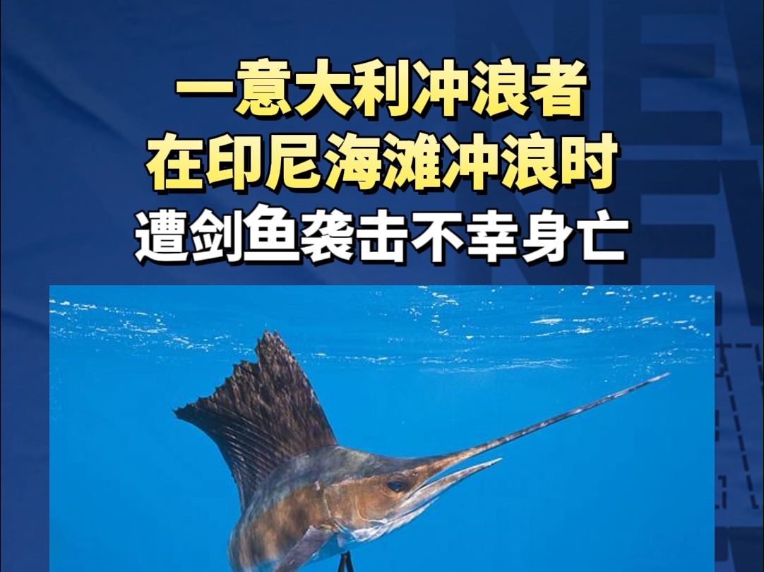 一意大利冲浪者在印尼海滩冲浪时遭剑鱼袭击不幸身亡哔哩哔哩bilibili