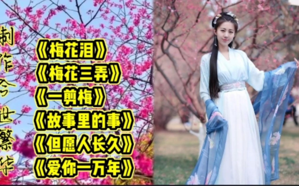 [图]《梅花泪》《梅花三弄》《一剪梅》《故事里的事》《但愿人长久》《爱你一万年》