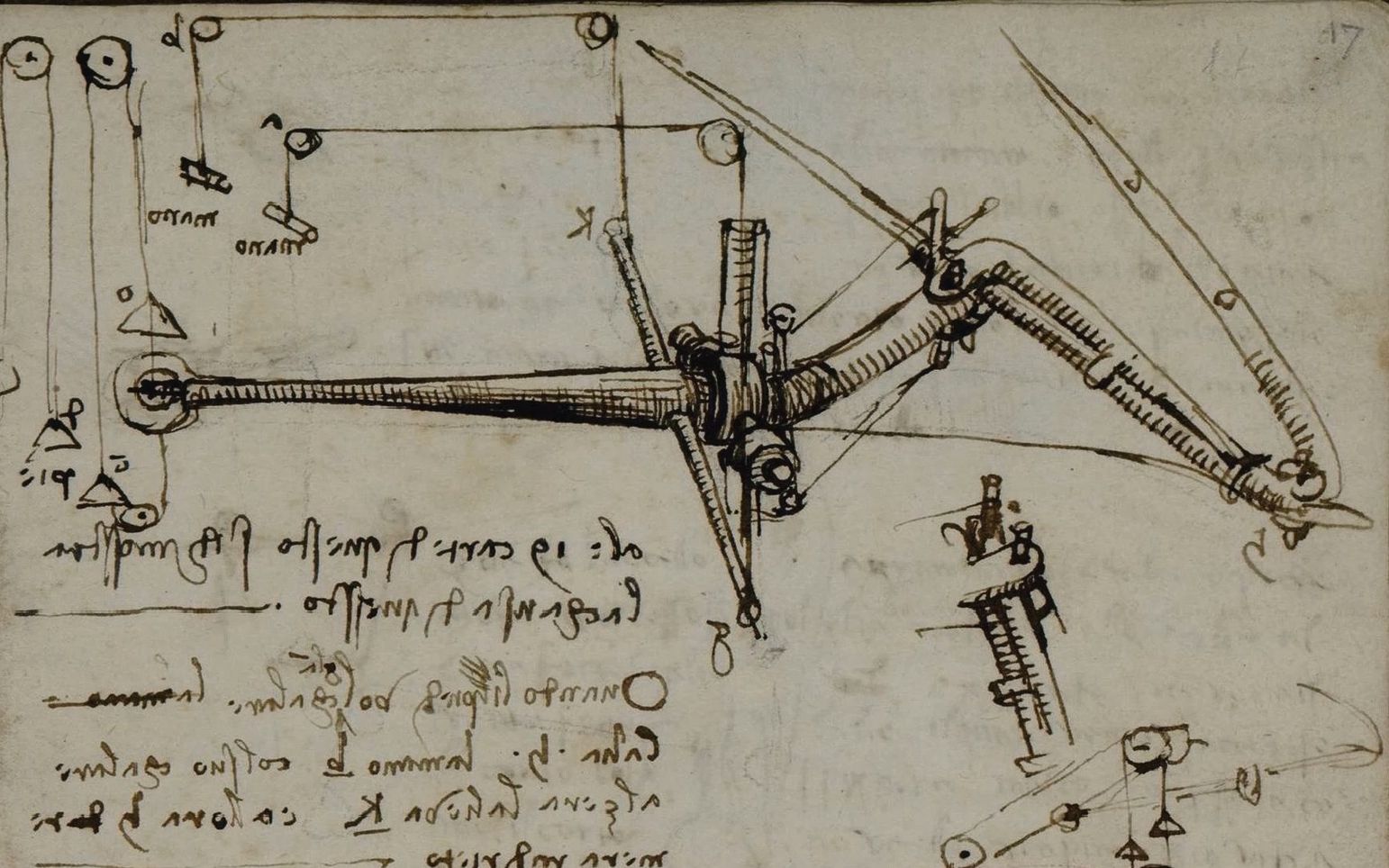 鸟类飞行手稿.Codice sul volo degli uccelli.By Leonardo da Vinci.15051506年.都灵皇家图书馆藏哔哩哔哩bilibili