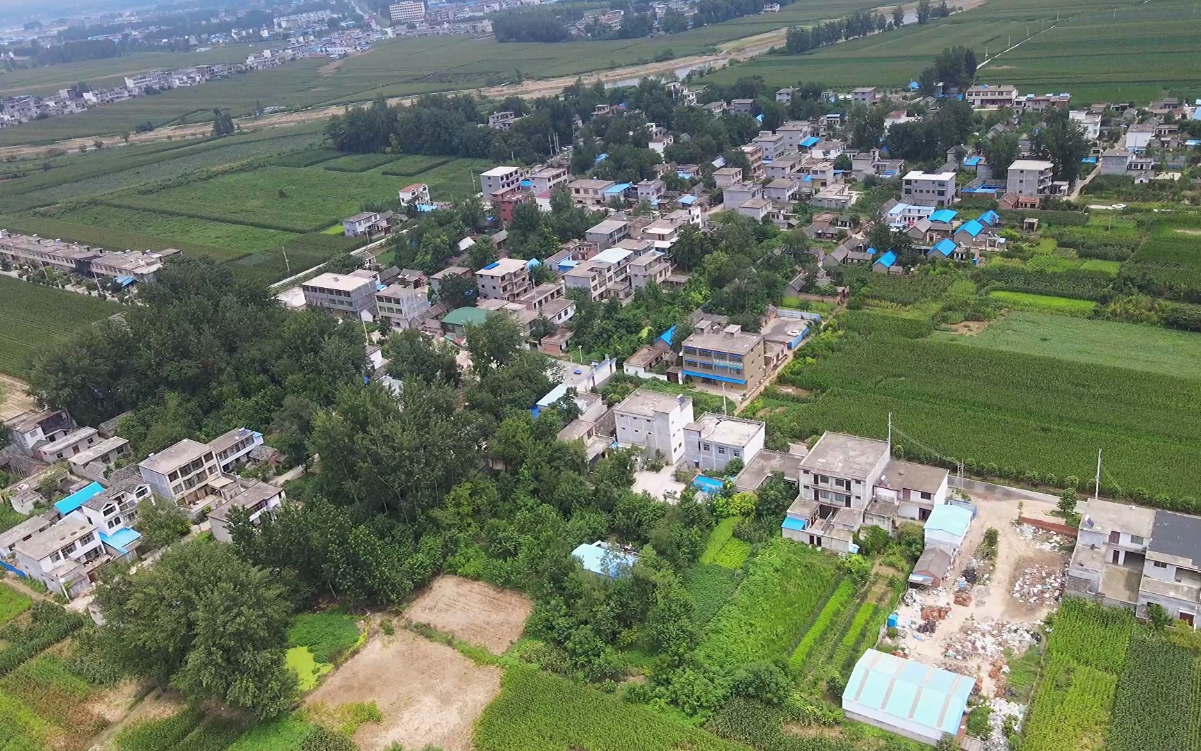 李庙王,安徽省阜阳市界首市光武镇西南部