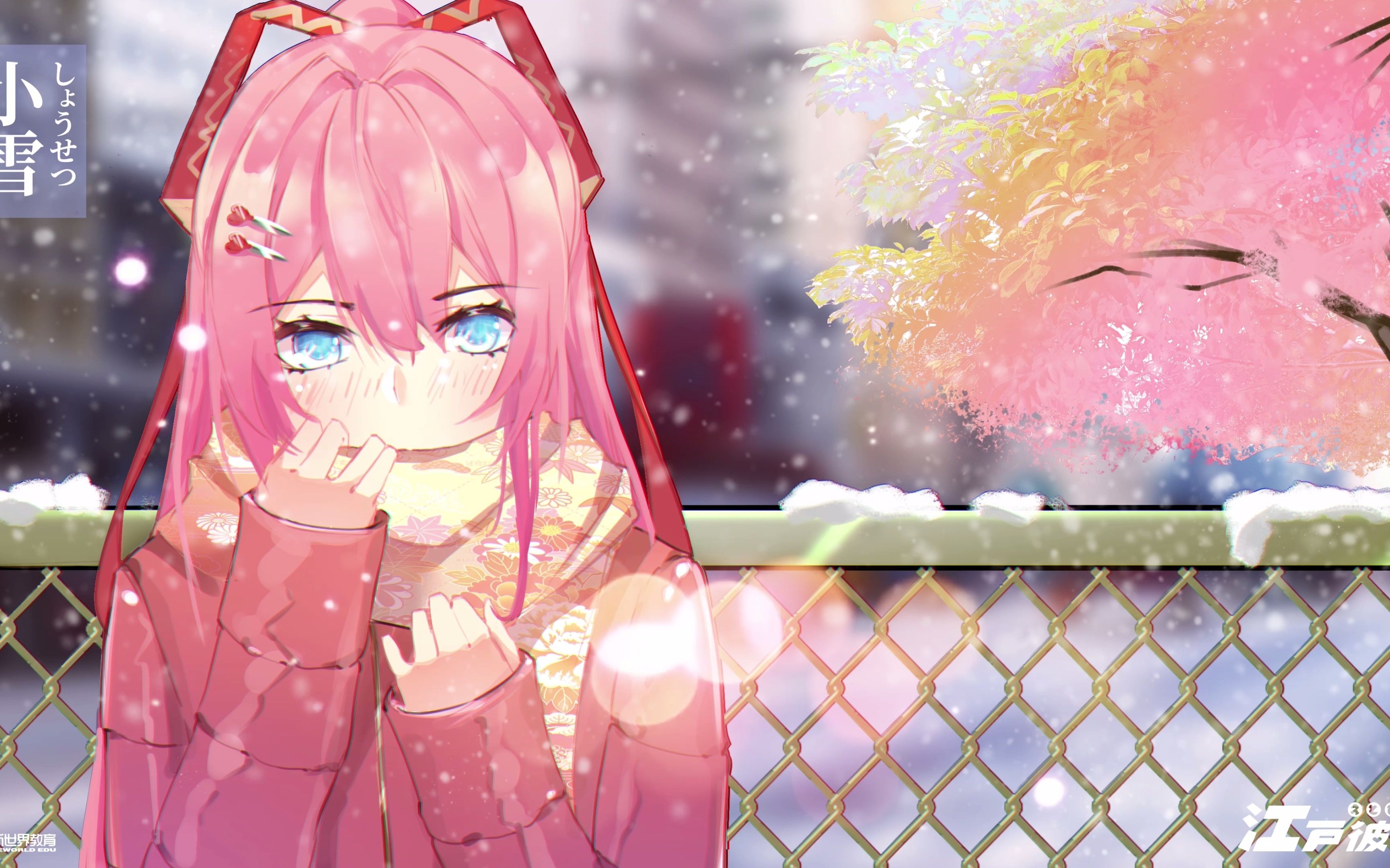 【江戸八重】今天是二十四节气之小雪