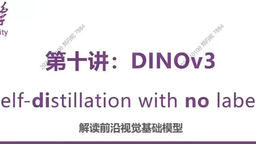视觉基础大模型DINOv3小白纯分享，欢迎交流讨论~