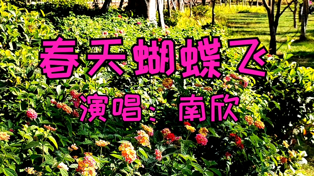 [图]春天来了，花开蝴蝶飞。