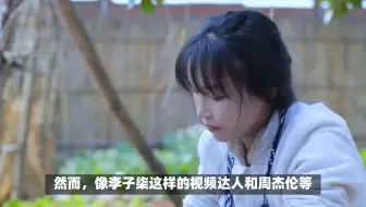 使用VPN翻墙违法，李子柒等名人为何安然无事