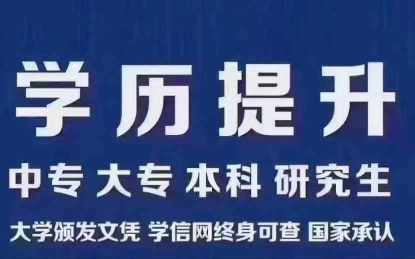 上海松江成人学历提升上海松江成人高考报名哔哩哔哩bilibili