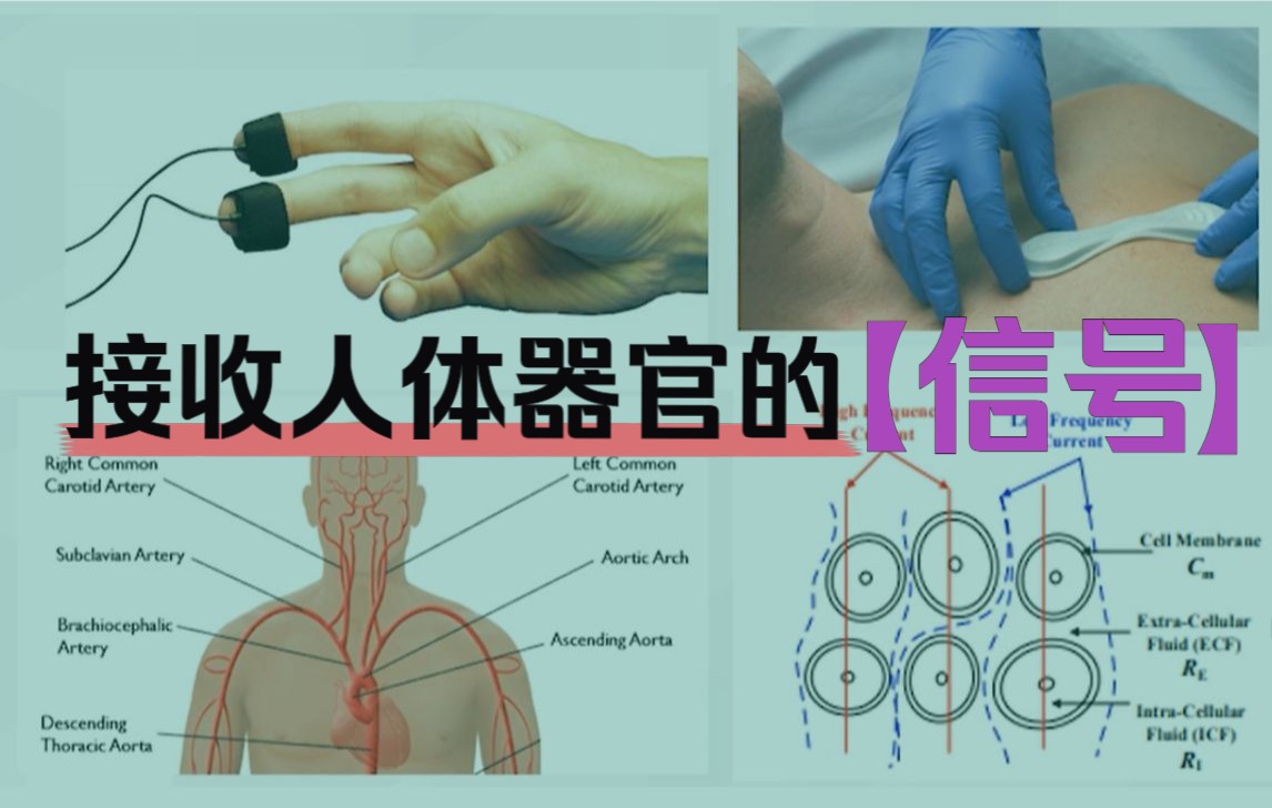 科普| 生物电阻抗是什么?和呼吸、心跳、血压又有什么关系?哔哩哔哩bilibili