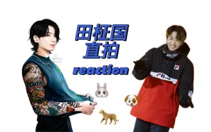 Tải video: ［reaction］田柾国直拍reaction｜好少啊不够看｜小黑豹小兔子小狗狗全都来｜真的很爱