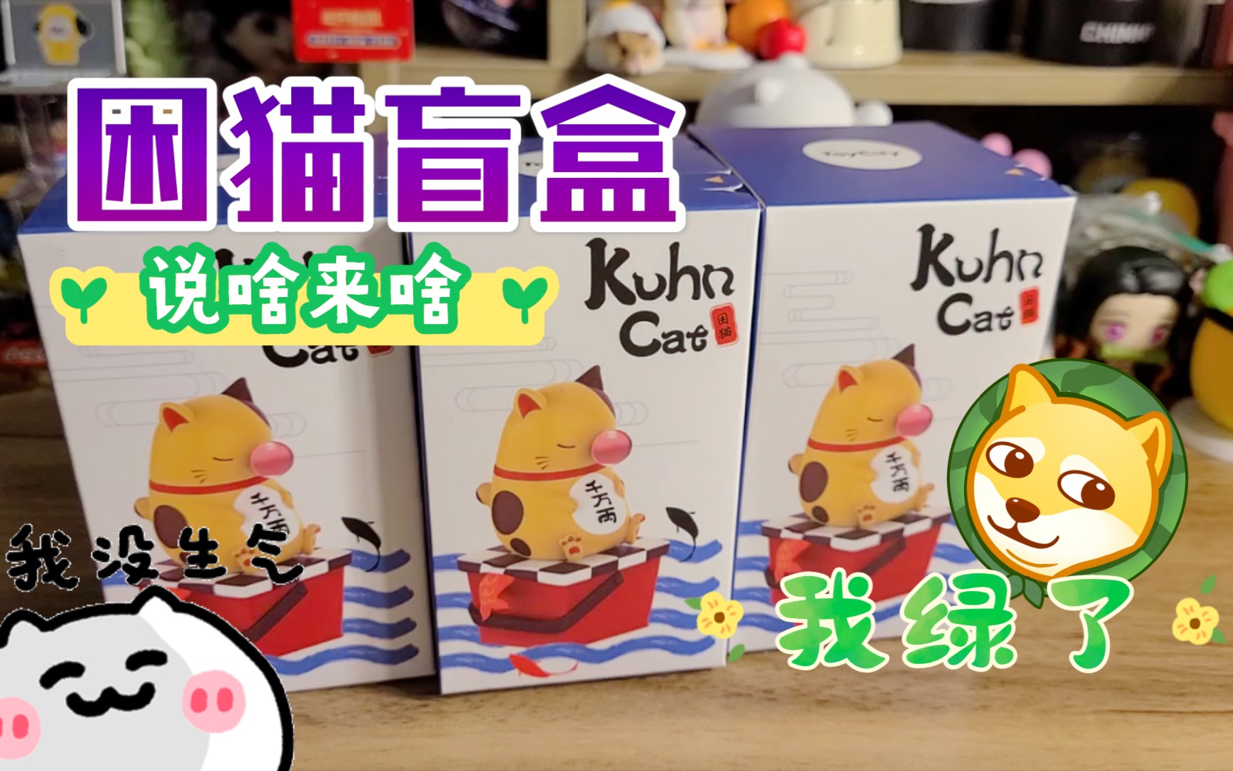 【蓝宝拆盲盒】困猫盲盒开箱,你绝对想不到猫还能和什么动物结合!