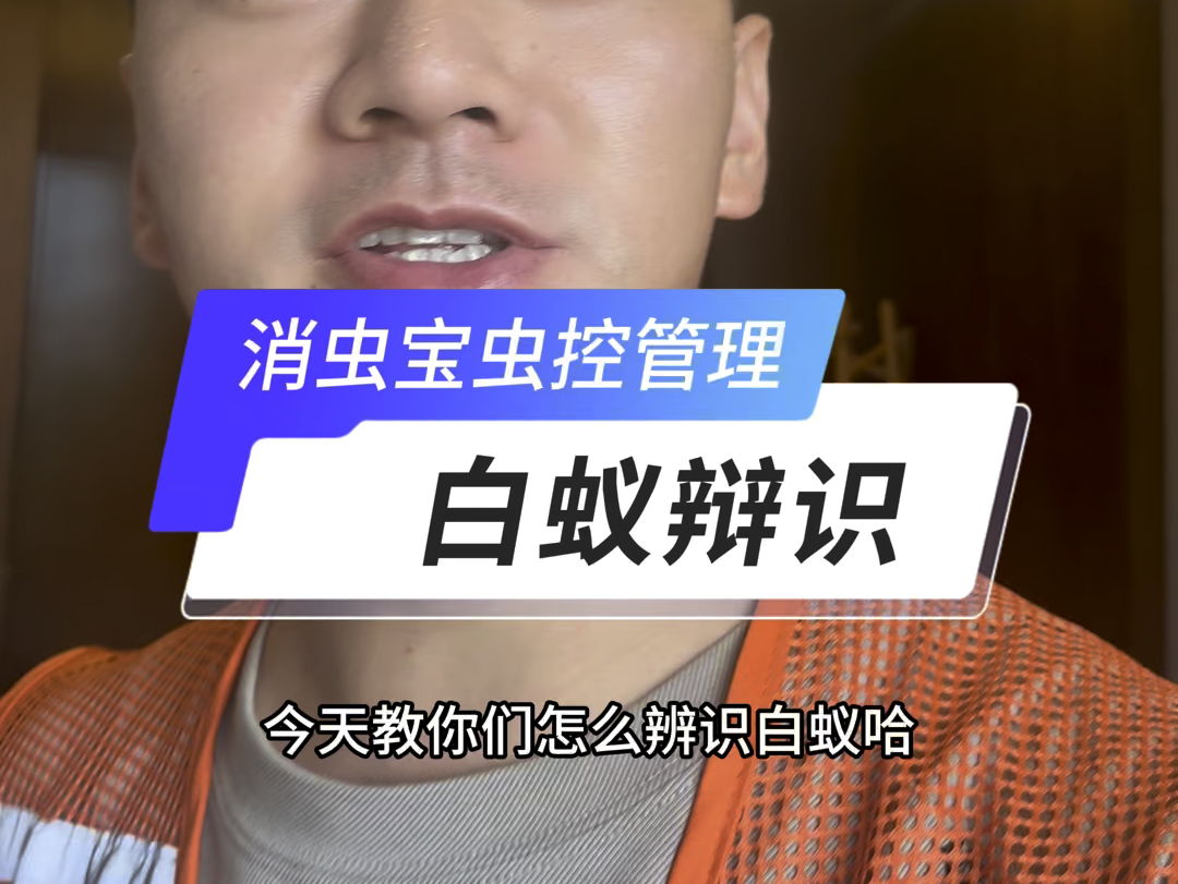 白蚁防治哔哩哔哩bilibili