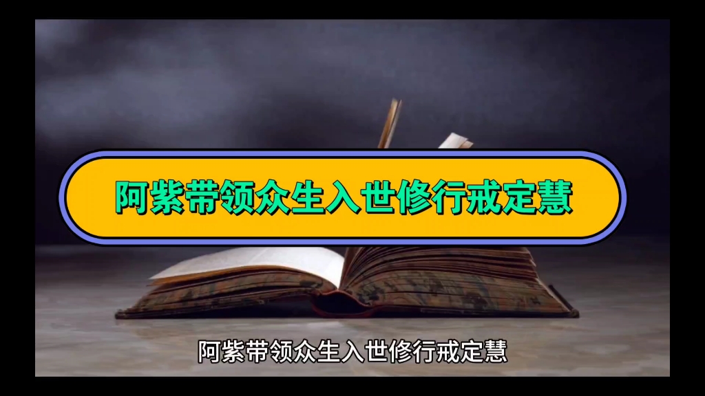 阿紫带领众生入世修行戒定慧哔哩哔哩bilibili