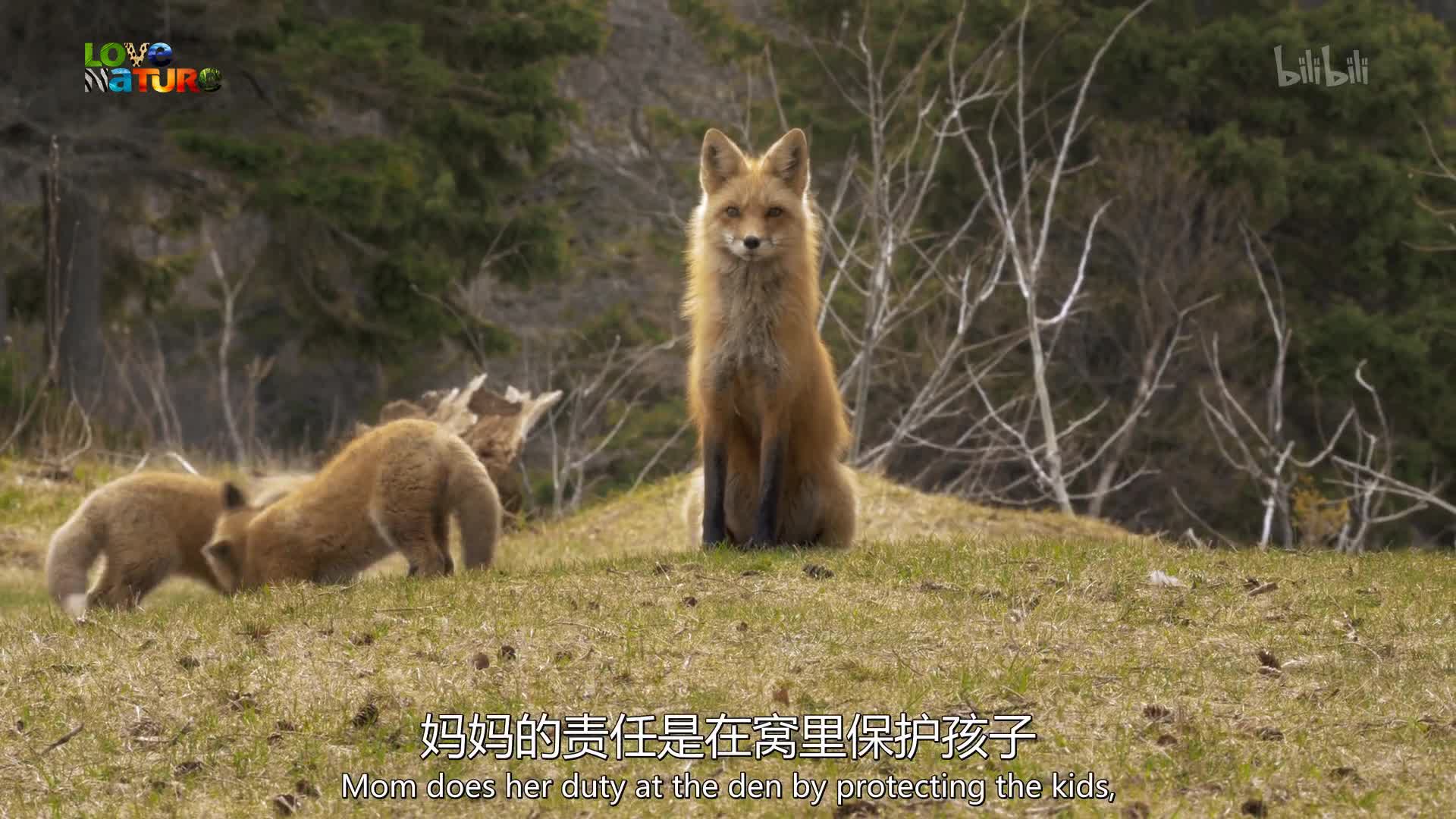 [图]【纪录片】狂野东部-The Wild Wild East I 10