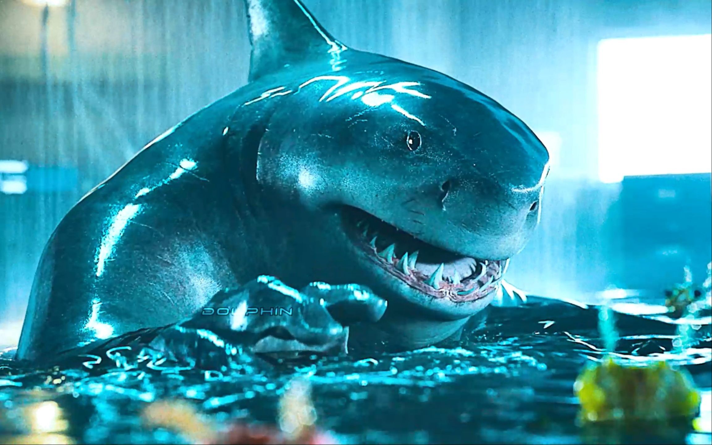 谁能想到蠢蠢萌萌的鲨鱼王纳纳塞居然是史泰龙给配的音呢!