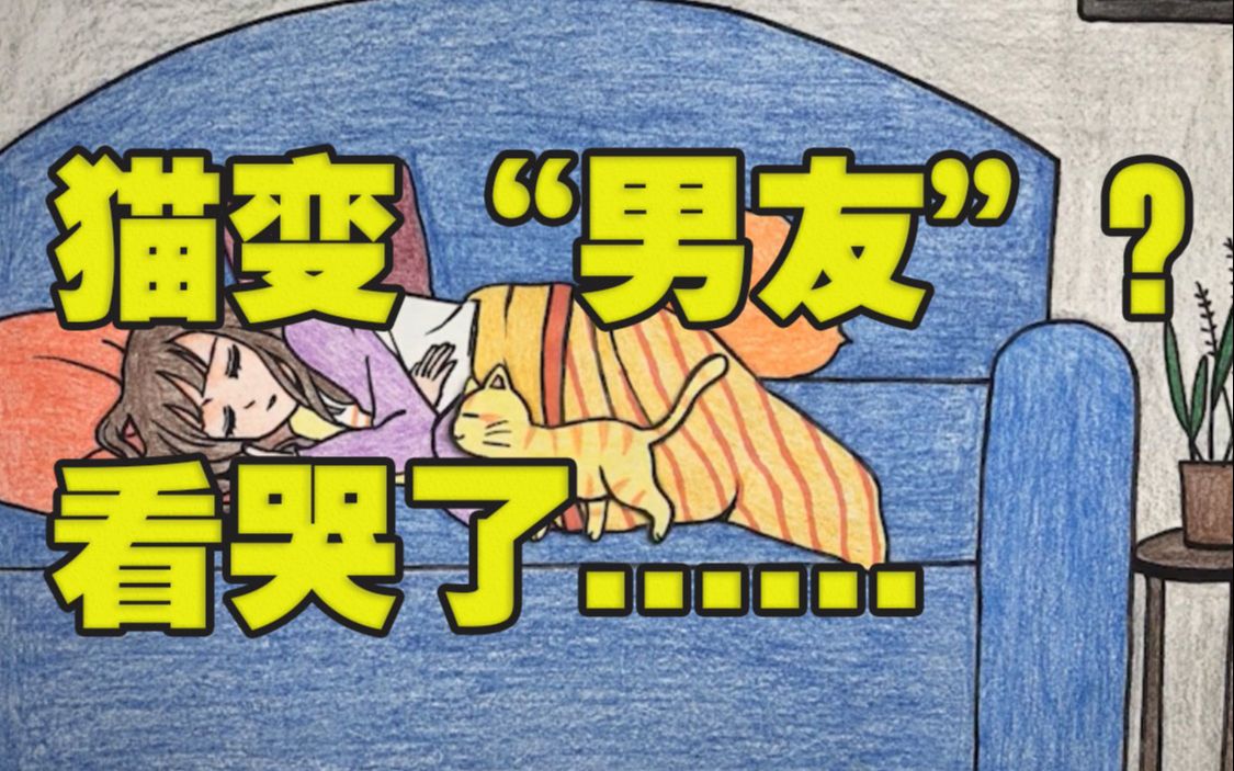 会说话的猫七七和男朋友比起来还是七七贴心我家七七大概就是完美男友