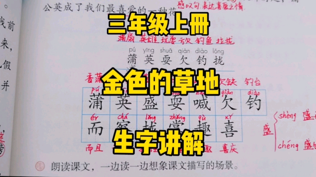 三年级语文上册:《金色的草地》生字讲解,识字写字是基础,不能放松要求!哔哩哔哩bilibili