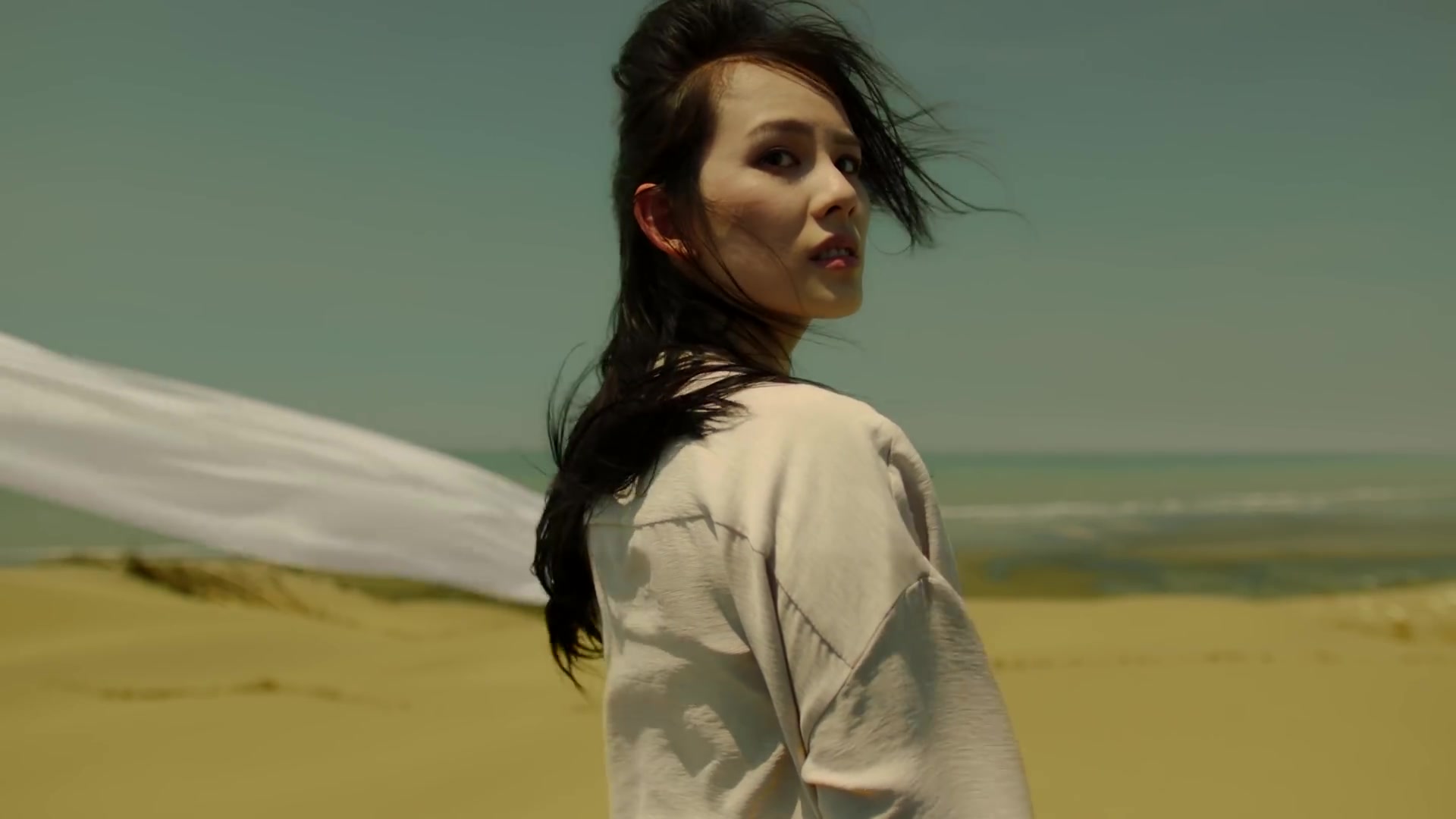 diana wang (王诗安) - poem (一步成诗) official music video