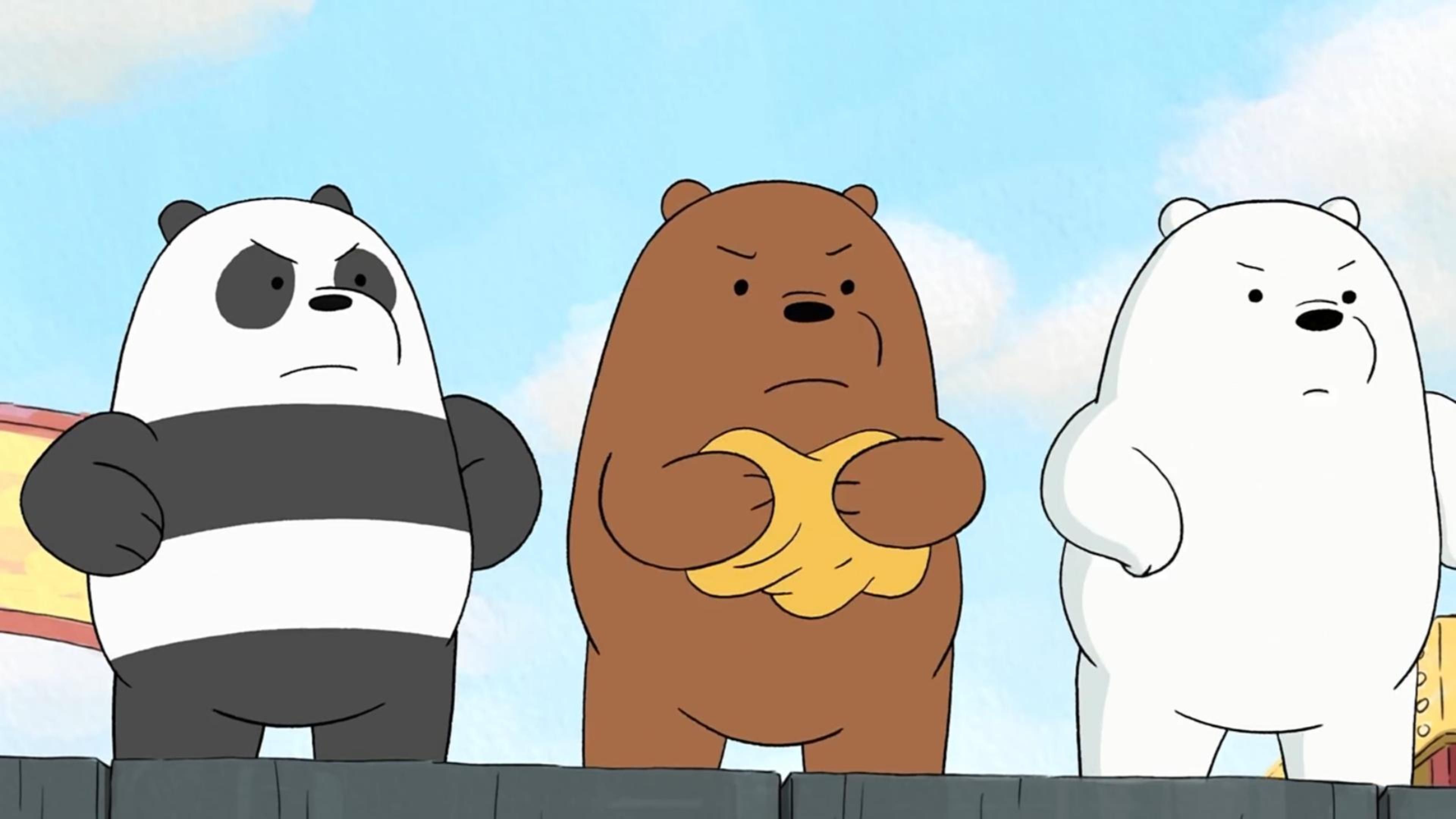 三只小熊求收养