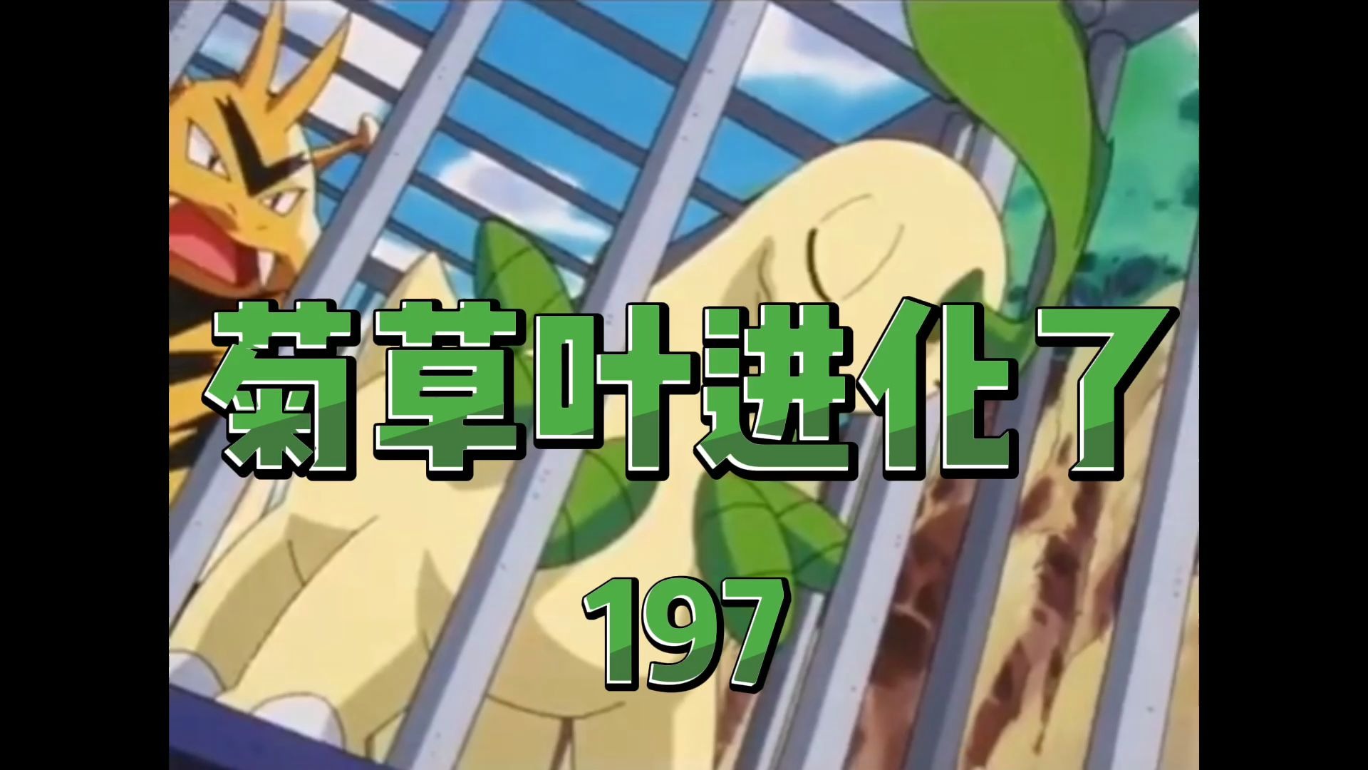 活动作品菊草叶为小智含泪进化