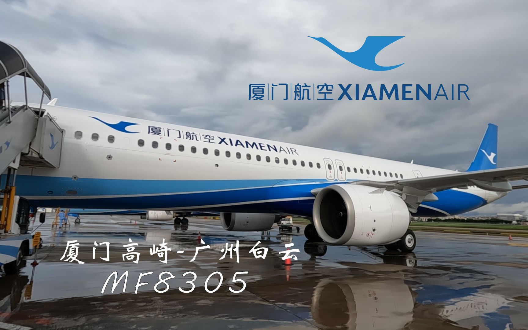 厦航家的全新A321neo,全波音航司也无法拒绝的真香机.喜欢吗?喜欢就多买点,我也喜欢【飞行记录】哔哩哔哩bilibili