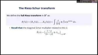 Jorge Pérez García: Riesz transforms as Schur multipliers