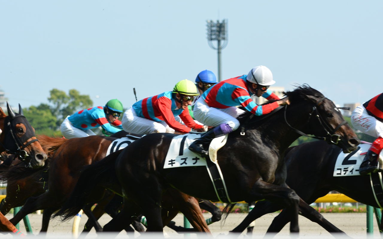 【赛马】2013年日本达比 高情厚意(キズナ)