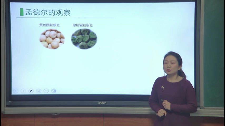 [图]【福州云课堂】高一生物《孟德尔的豌豆杂交实验(二)第1课时》 福建师大附中：林霞