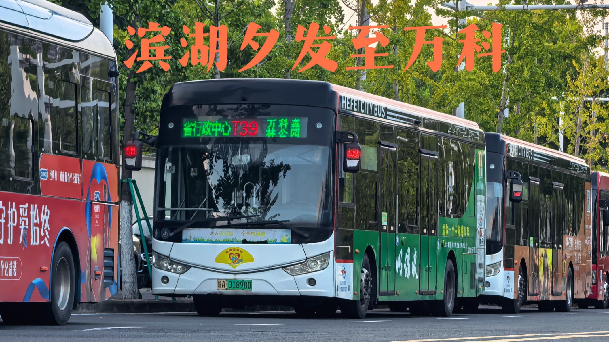 【滨湖夕发至万科】合肥公交T39路（省行政中心-万科森林公园）全程前方展望POV