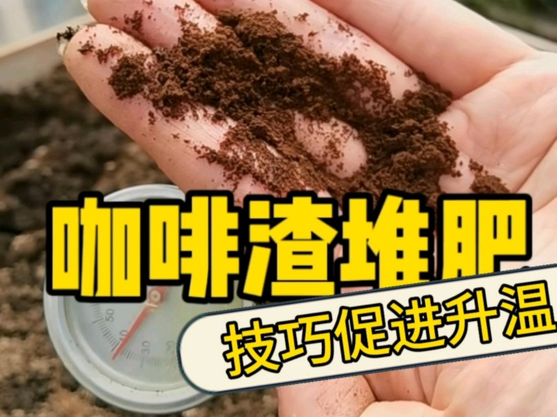 咖啡渣堆肥迅速升温的小技巧:水.堆肥不要只关注碳氮比哦.也要关注堆料的湿度.水在生态反应中,起非常关键的作用.#有氧堆肥不升温 #咖啡渣堆肥...